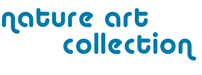 Nature Art Collection